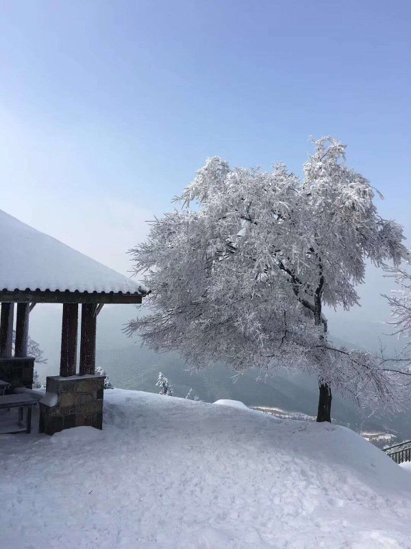 冬-刘建林摄1740886265.jpg
